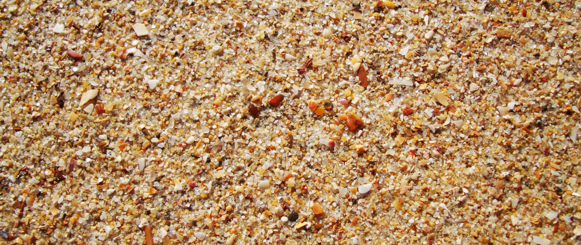 Купить морской песок в СПб