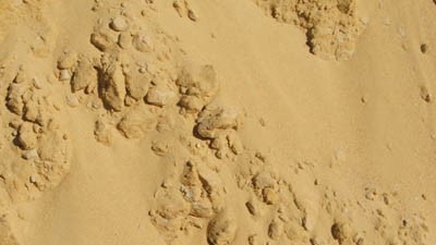 Речной песок купить в Новой Ладоге