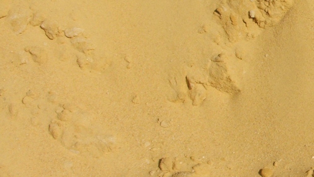 Карьерный чистый мелкий песок