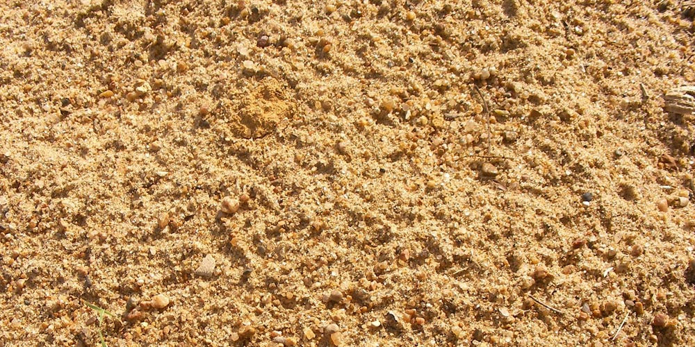 Продажа песка в Лесколово с площадки